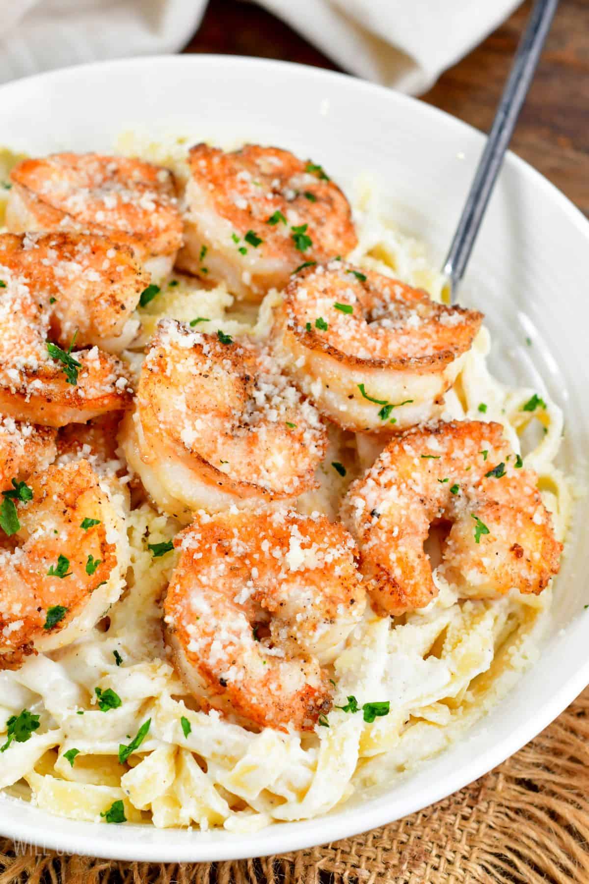 Shrimp Alfredo